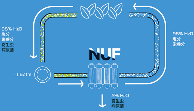 農業灌漑用水浄化再利用システム